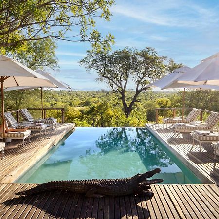 Simbavati Hilltop Lodge Timbavati Game Reserve Exteriér fotografie