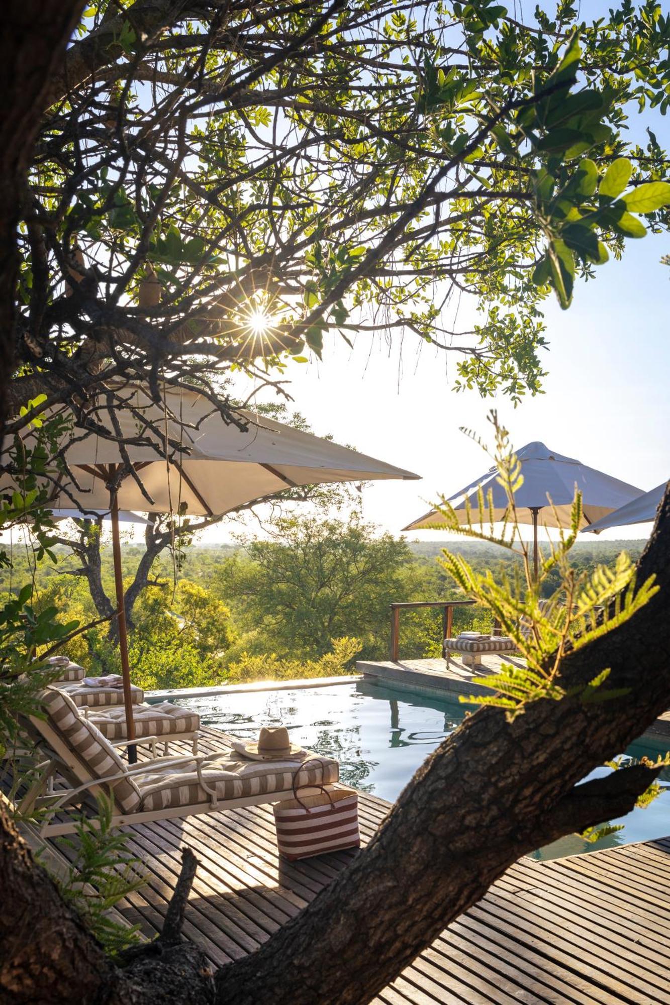 Simbavati Hilltop Lodge Timbavati Game Reserve Exteriér fotografie