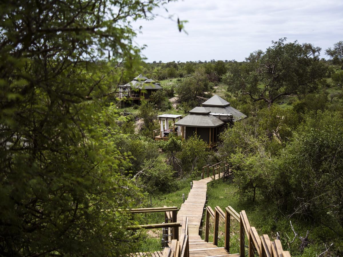 Simbavati Hilltop Lodge Timbavati Game Reserve Exteriér fotografie