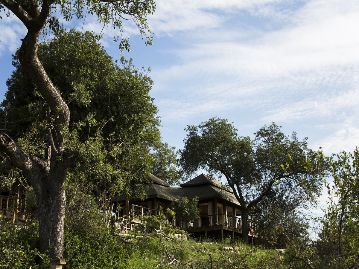 Simbavati Hilltop Lodge Timbavati Game Reserve Exteriér fotografie