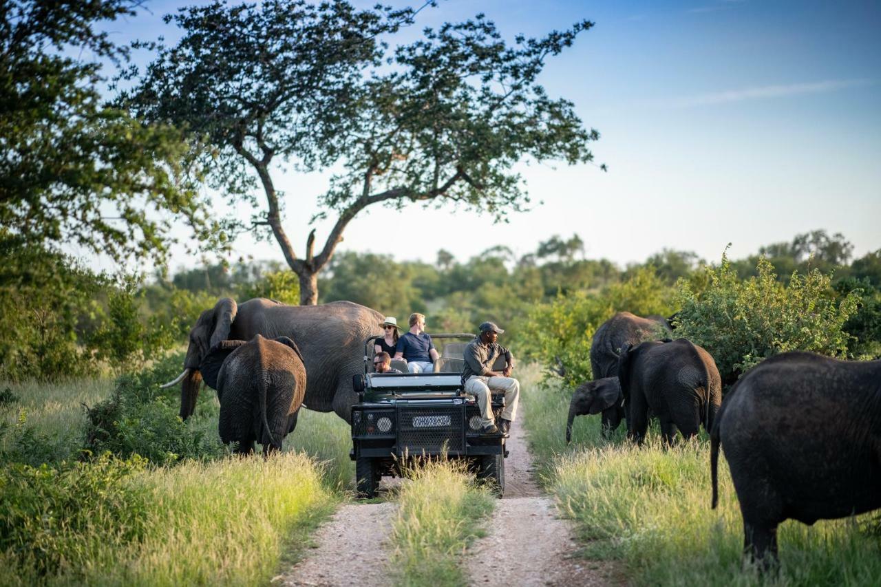 Simbavati Hilltop Lodge Timbavati Game Reserve Exteriér fotografie