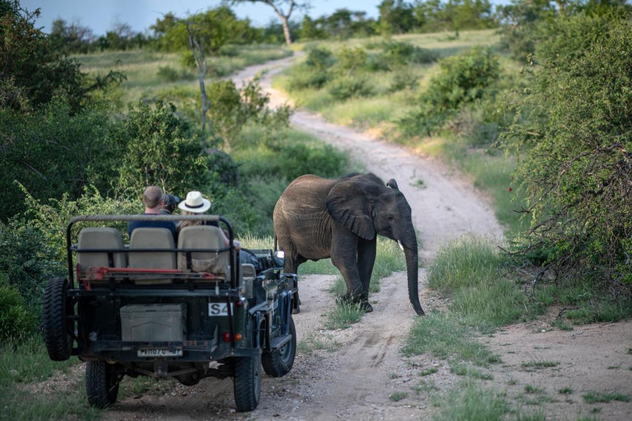 Simbavati Hilltop Lodge Timbavati Game Reserve Exteriér fotografie